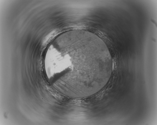 X0000101150339200807251053