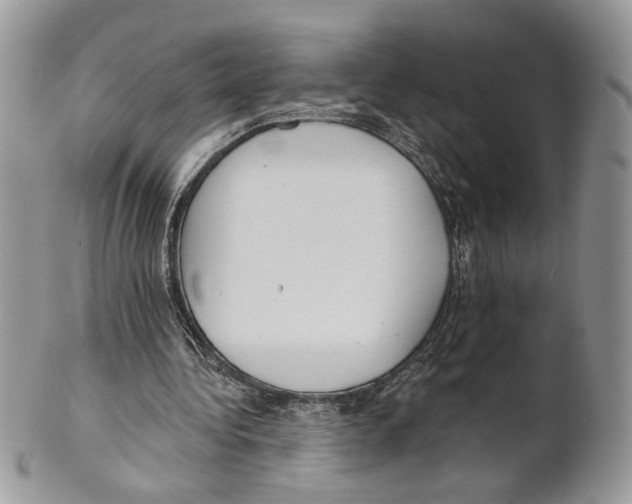 X0000101150340200807251053