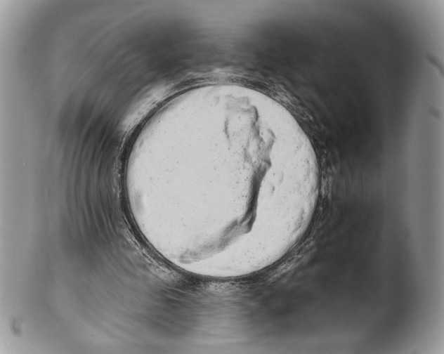 X0000101150341200807251053