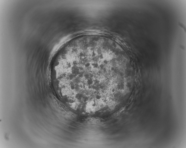X0000101150343200807251053