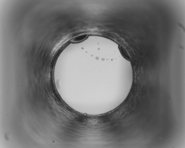 X0000101150344200807251053