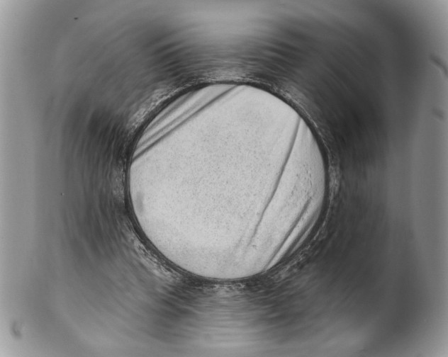 X0000101150345200807251053