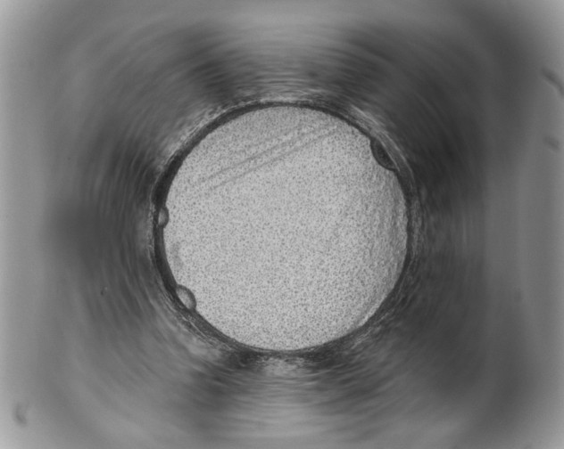 X0000101150346200807251053
