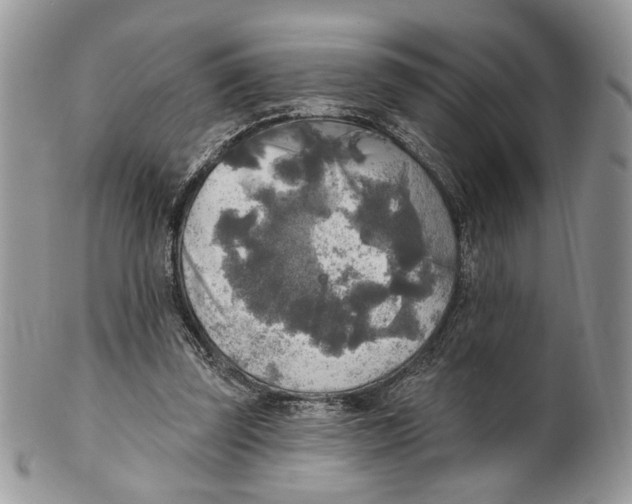 X0000101150347200807251053