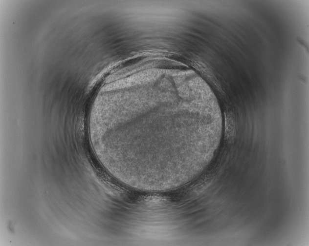 X0000101150348200807251053