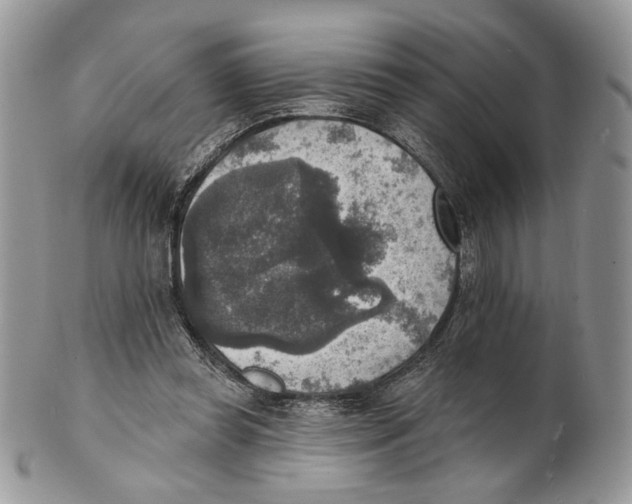 X0000101150349200807251053