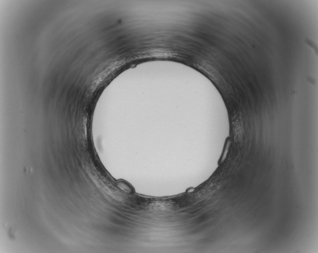 X0000101150350200807251053