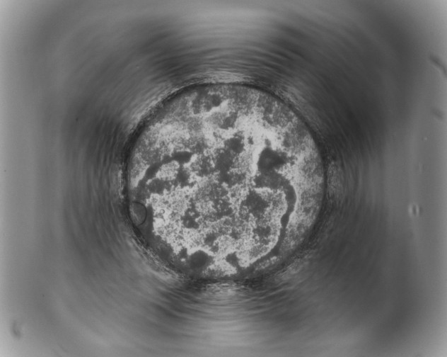 X0000101150351200807251053