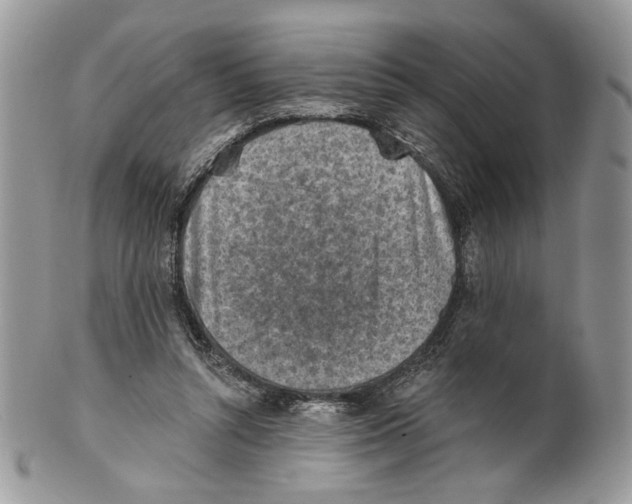 X0000101150352200807251053