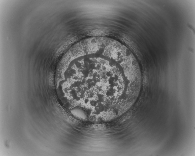 X0000101150353200807251053