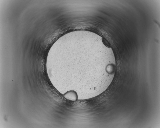 X0000101150354200807251053
