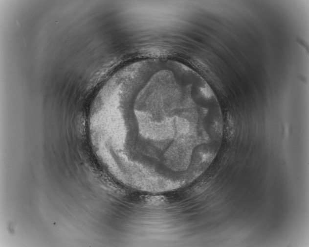 X0000101150355200807251053