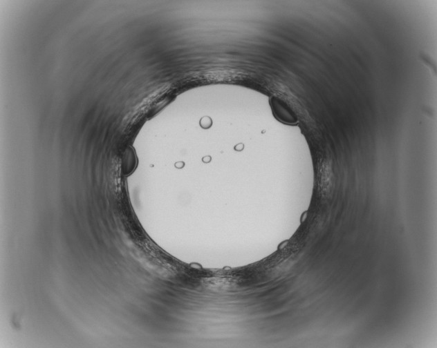 X0000101150356200807251053