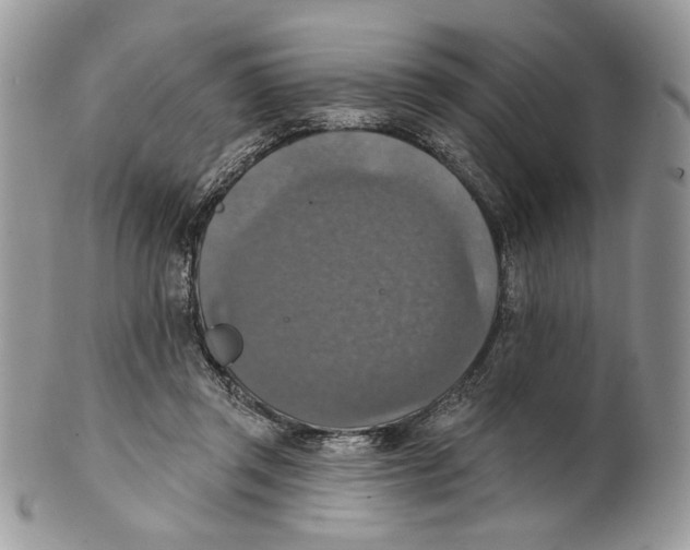 X0000101150357200807251053
