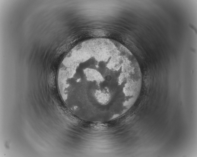 X0000101150359200807251053
