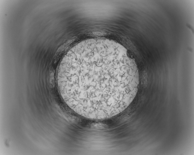 X0000101150360200807251053
