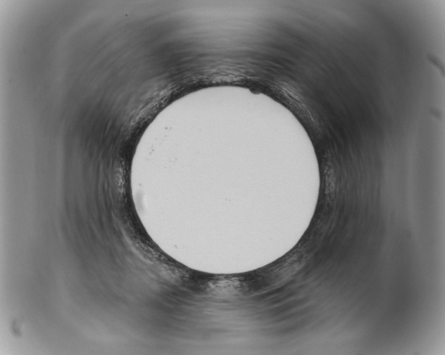 X0000101150362200807251053