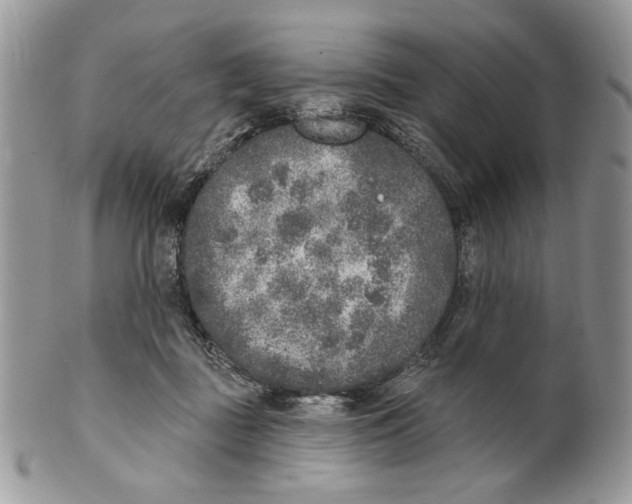 X0000101150363200807251053