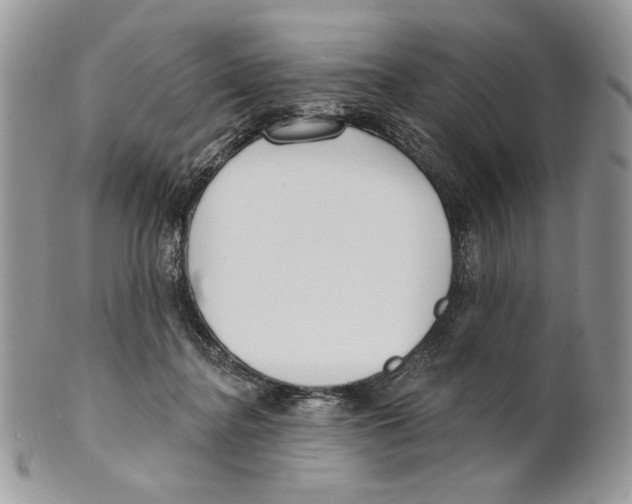 X0000101150364200807251053