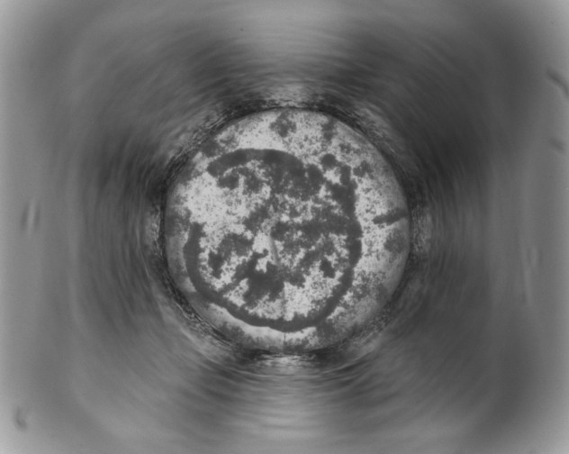 X0000101150365200807251053