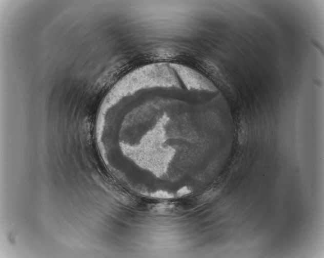 X0000101150366200807251053