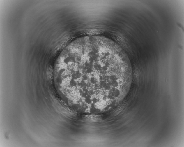 X0000101150367200807251053
