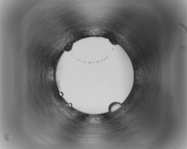 X0000101150368200807251053