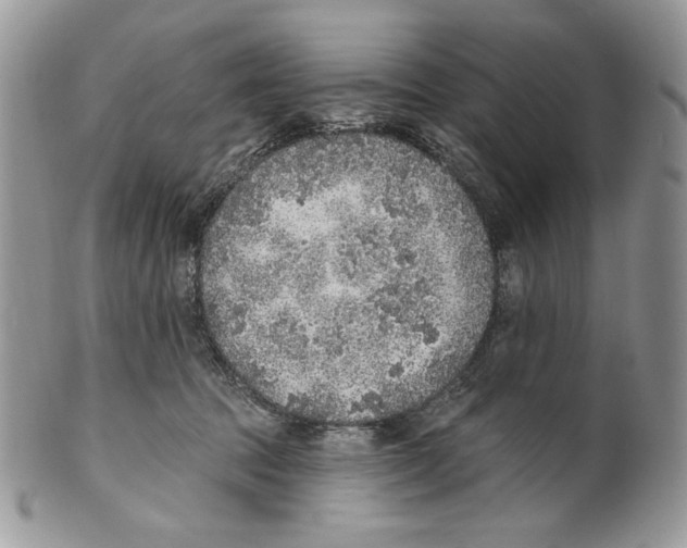 X0000101150369200807251053