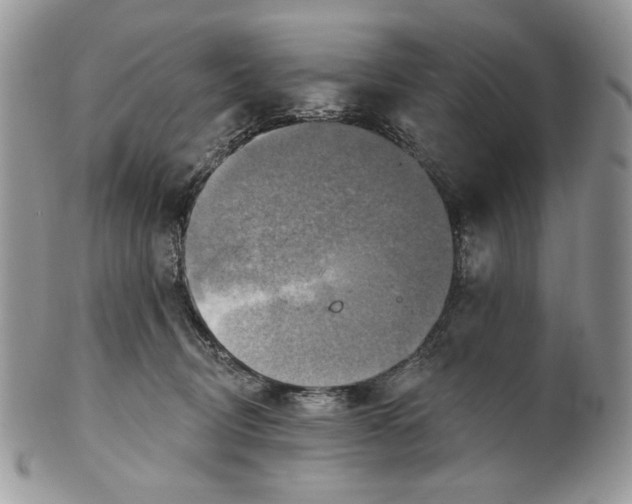 X0000101150370200807251053