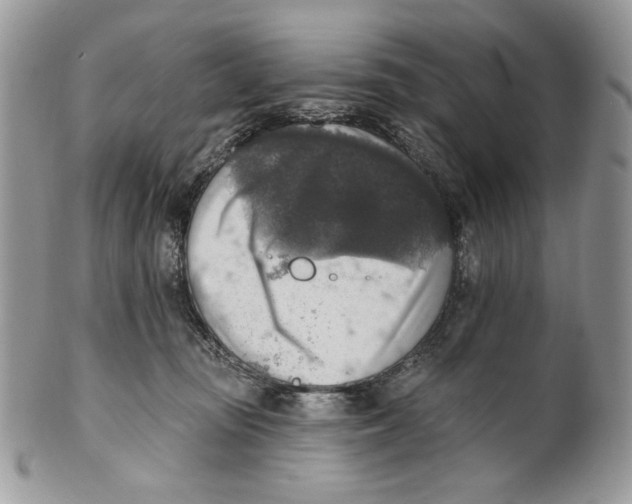 X0000101150371200807251053