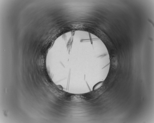 X0000101150372200807251053