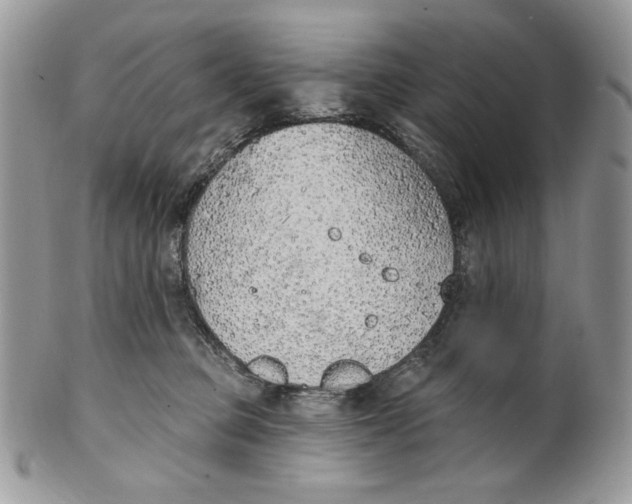 X0000101150373200807251053