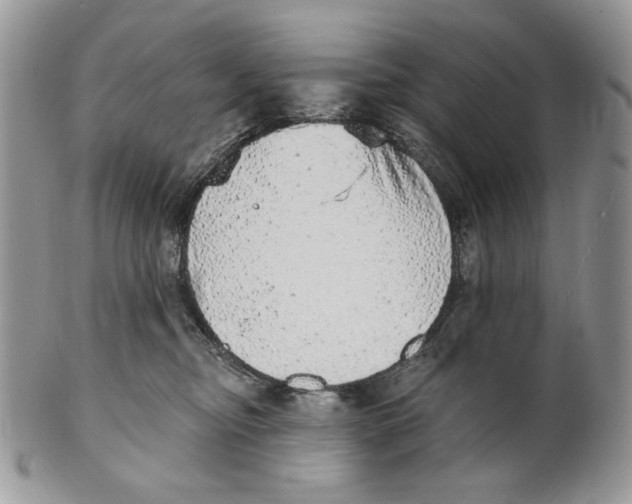 X0000101150374200807251053