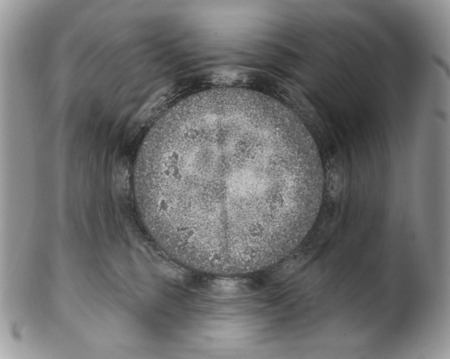 X0000101150375200807251053