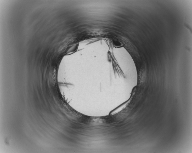 X0000101150376200807251053