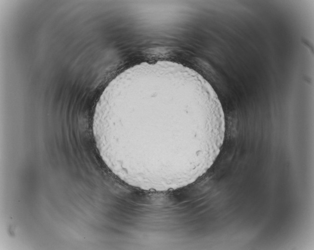 X0000101150377200807251053