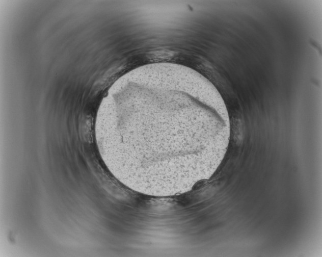 X0000101150378200807251053