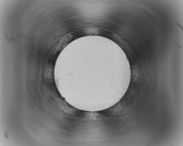 X0000101150379200807251053