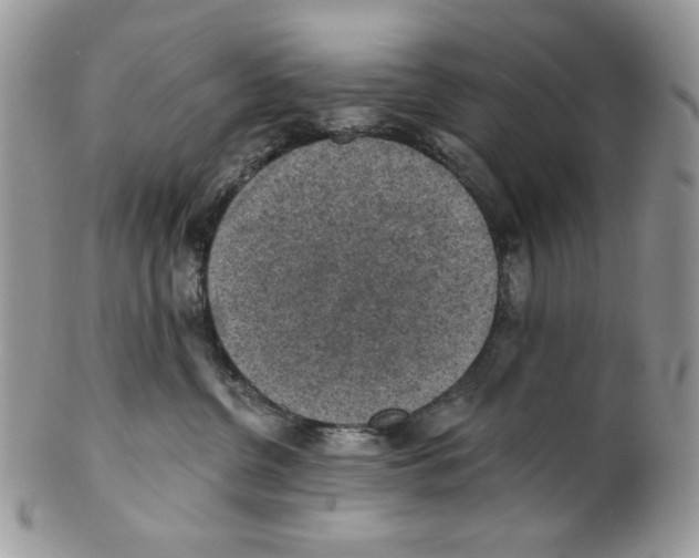X0000101150380200807251053
