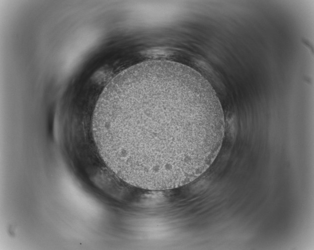 X0000101150381200807251053