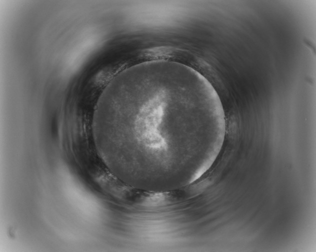 X0000101150382200807251053