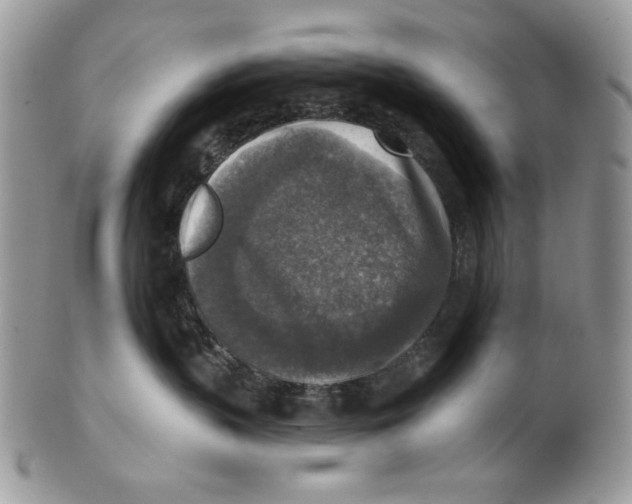 X0000101150383200807251053