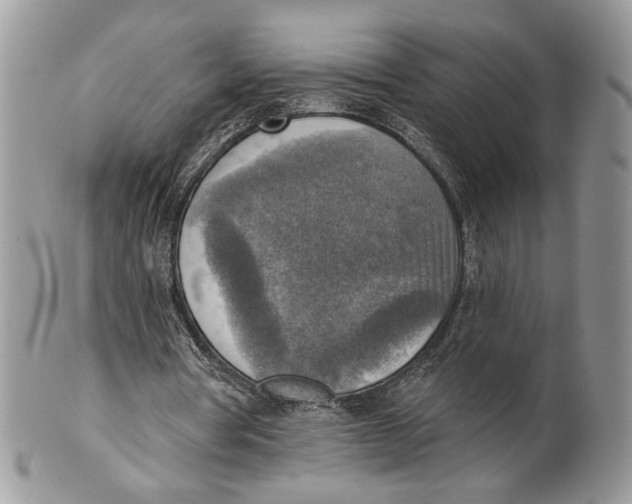 X0000101150386200807251053