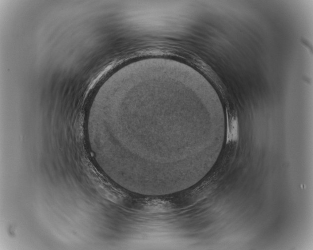 X0000101150387200807251053