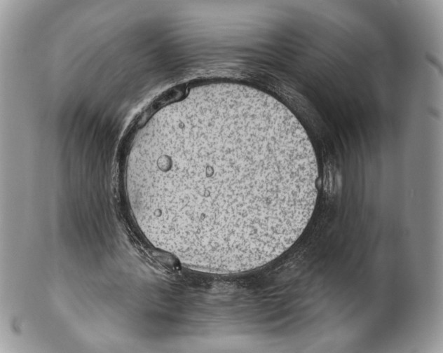X0000101150388200807251053