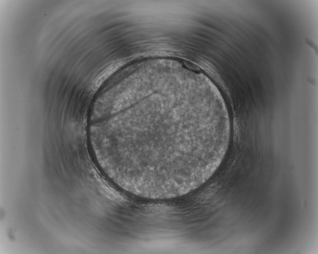X0000101150389200807251053