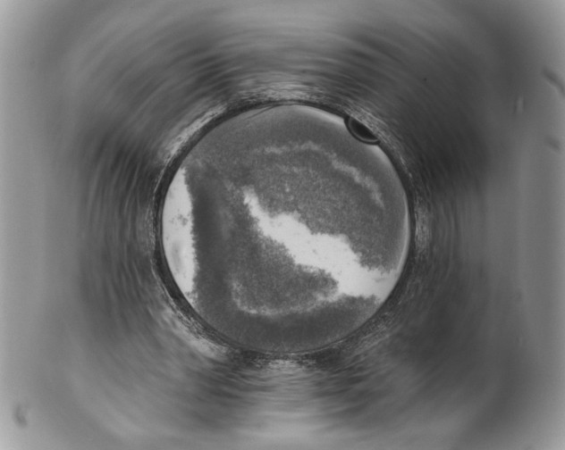 X0000101150390200807251053
