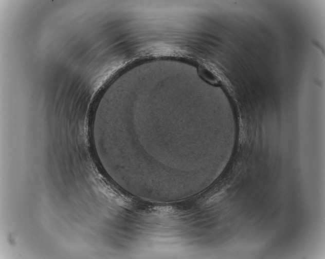 X0000101150391200807251053