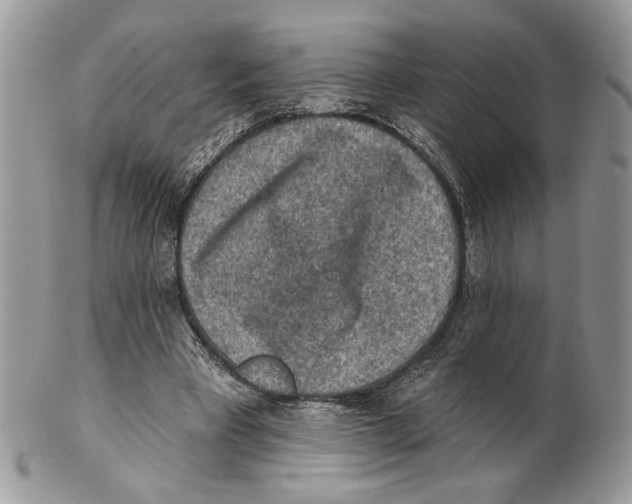 X0000101150393200807251053