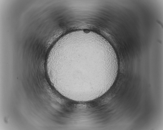 X0000101150394200807251053